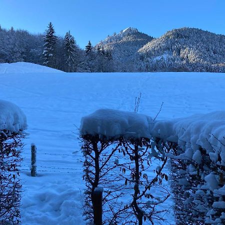 Appartement 2 Pieces Pieds Des Pistes Terrasse Face A La Montagne Bernex Esterno foto