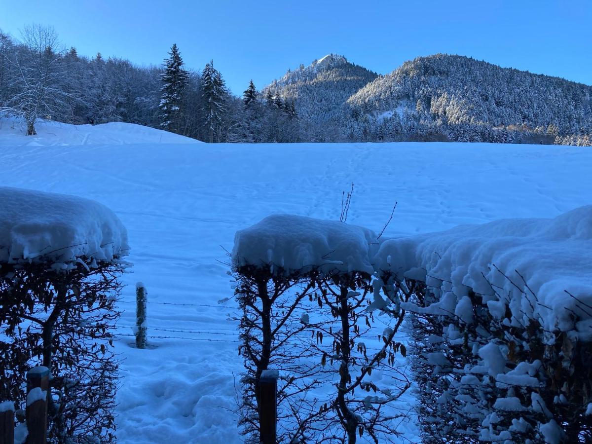 Appartement 2 Pieces Pieds Des Pistes Terrasse Face A La Montagne Bernex Esterno foto